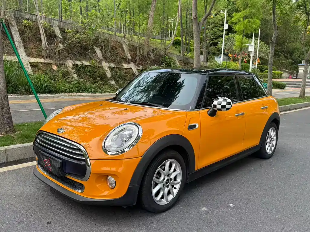 Mini Mini 2016