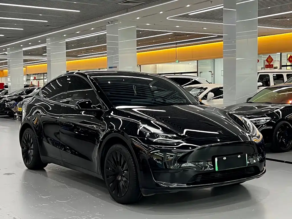 Tesla Model Y — миниатюра 2