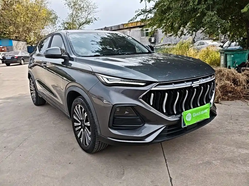 Oshan Oushang X5 — миниатюра 4