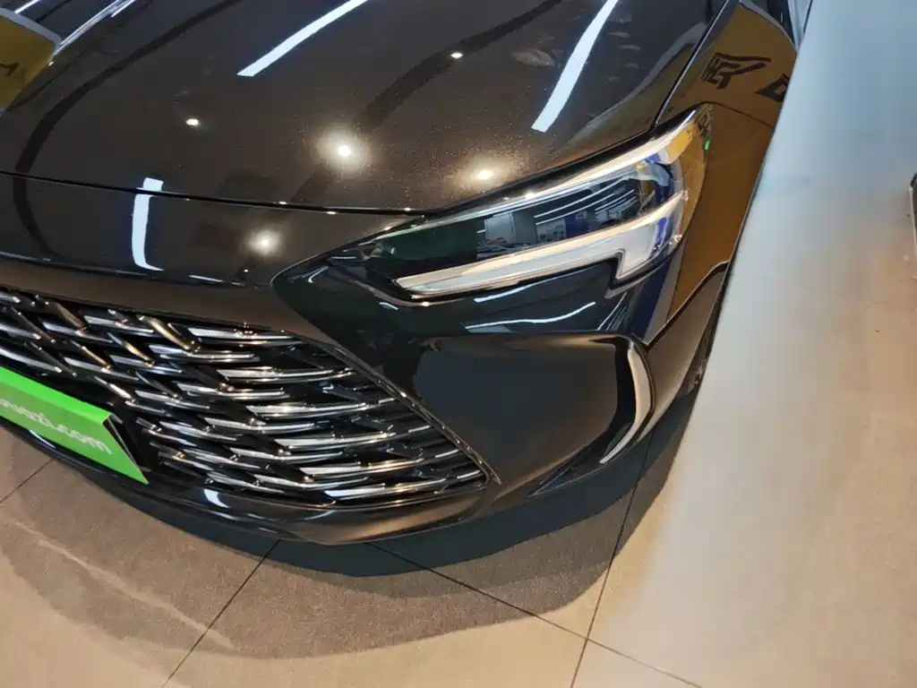 Buick Regal — миниатюра 24