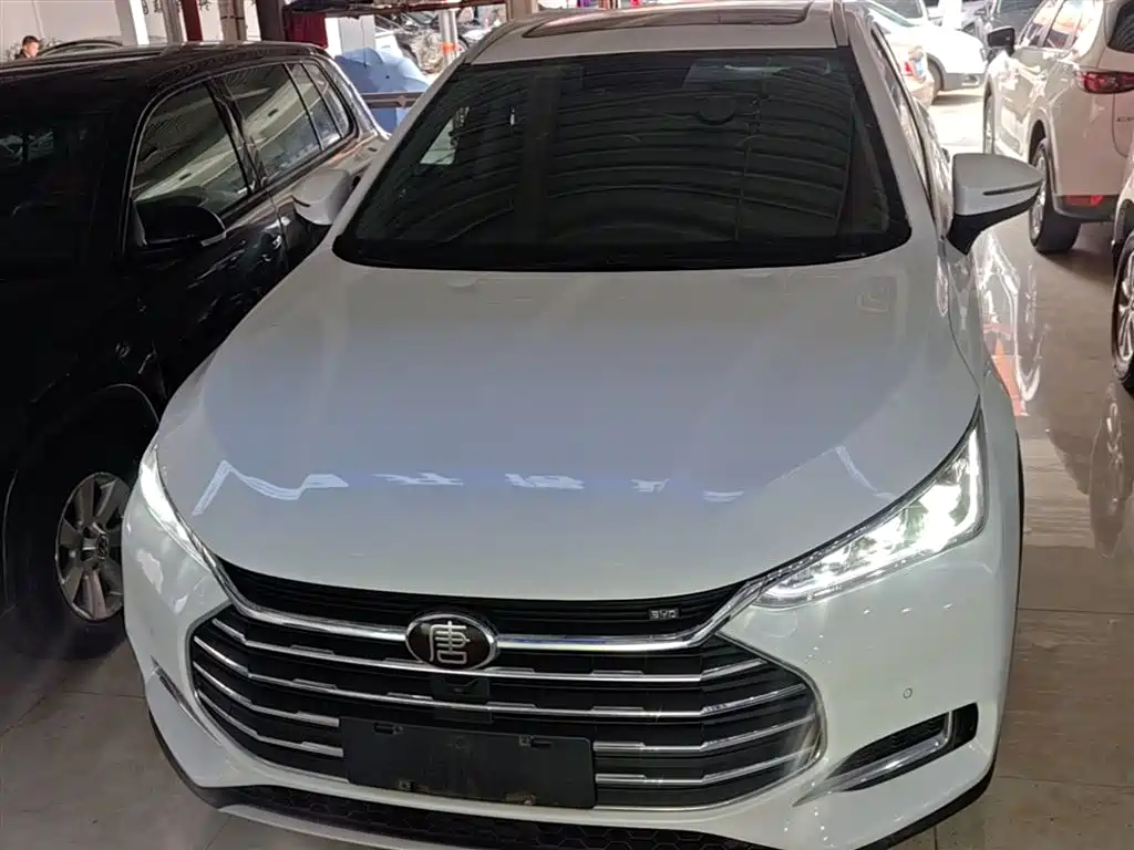 BYD Tang 2019 2.0T AT Luxury 7 мест VI