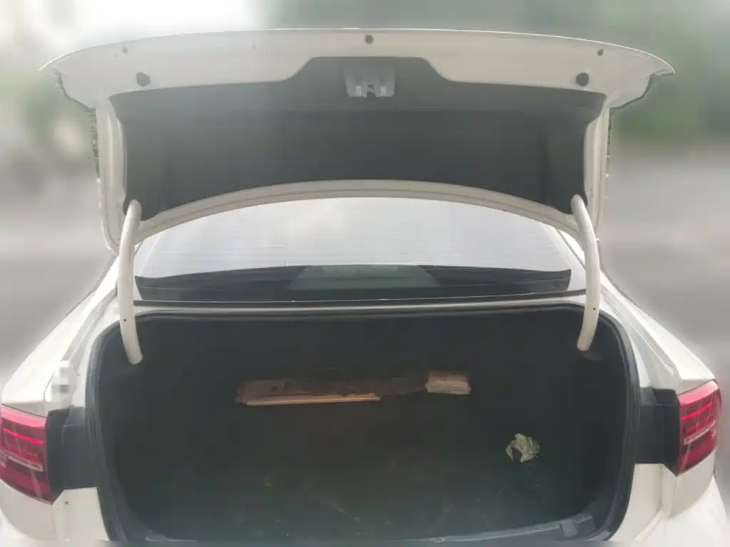 Volkswagen Lamando — миниатюра 15