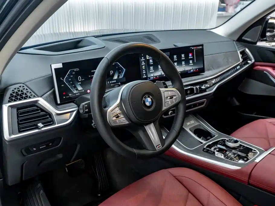 BMW X5 — миниатюра 25