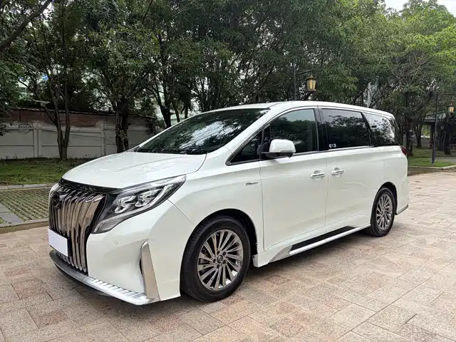 2022 GAC GN8