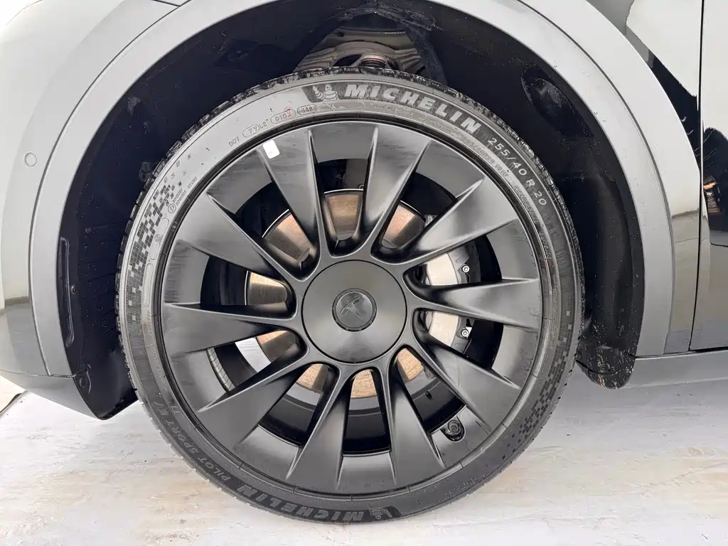 Tesla Model Y — миниатюра 15