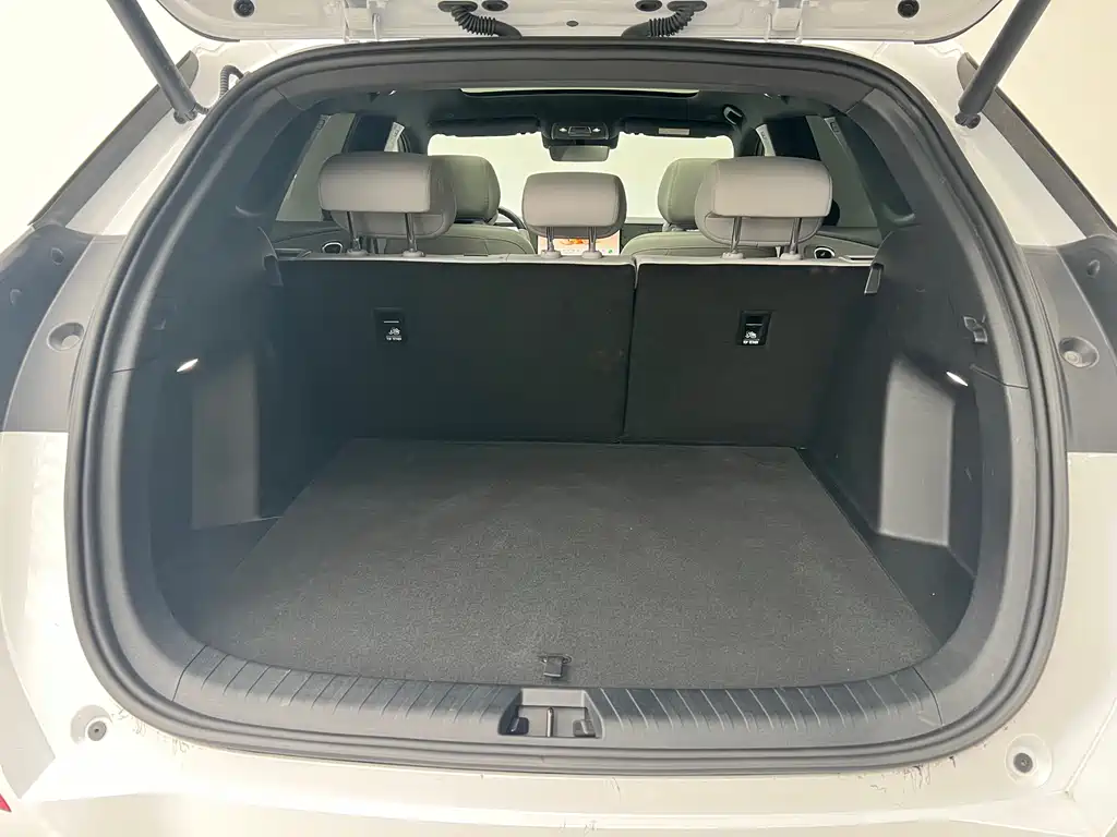 BYD SEA LION 06 NEW ENERGY