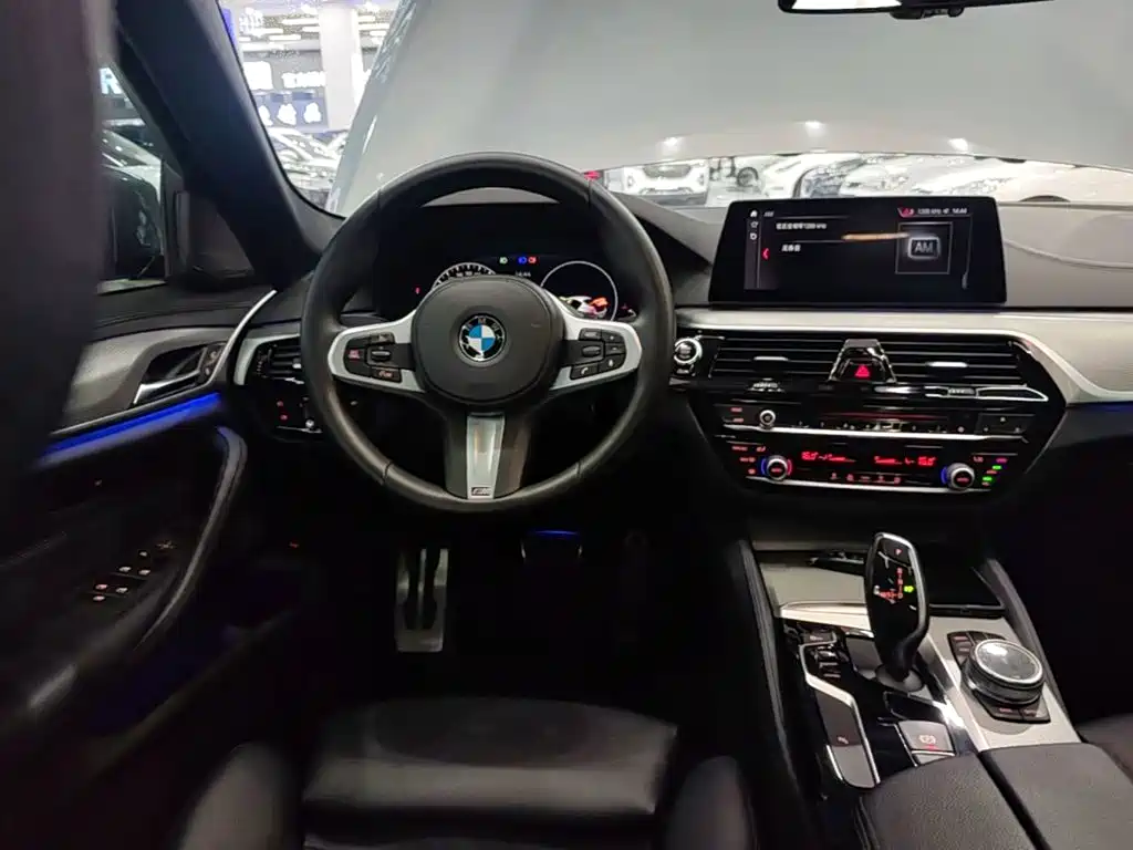 BMW 5 Series (Import) — миниатюра 11