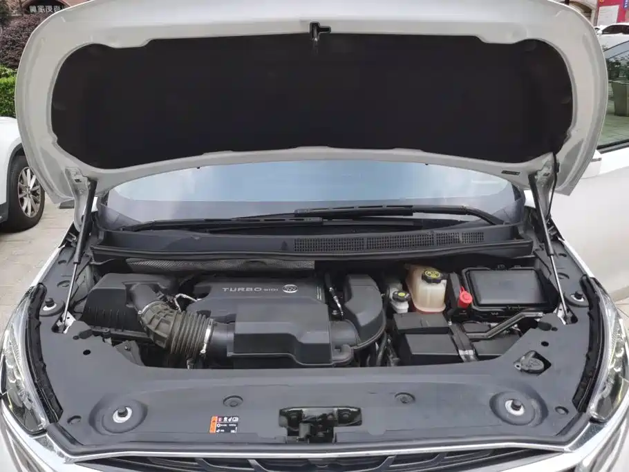 Buick GL8 — миниатюра 10