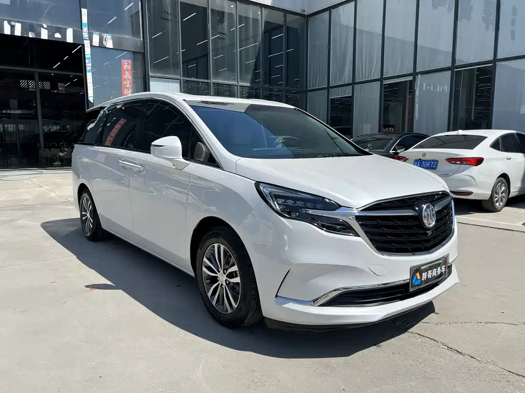 Buick GL8 — миниатюра 3