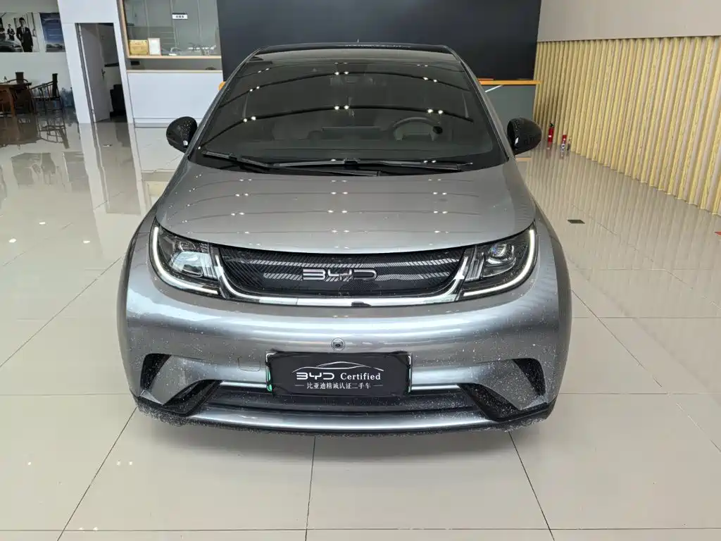 BYD Dolphin — миниатюра 2
