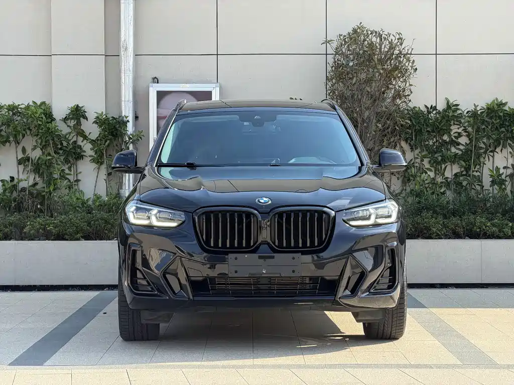 BMW X3 — миниатюра 2