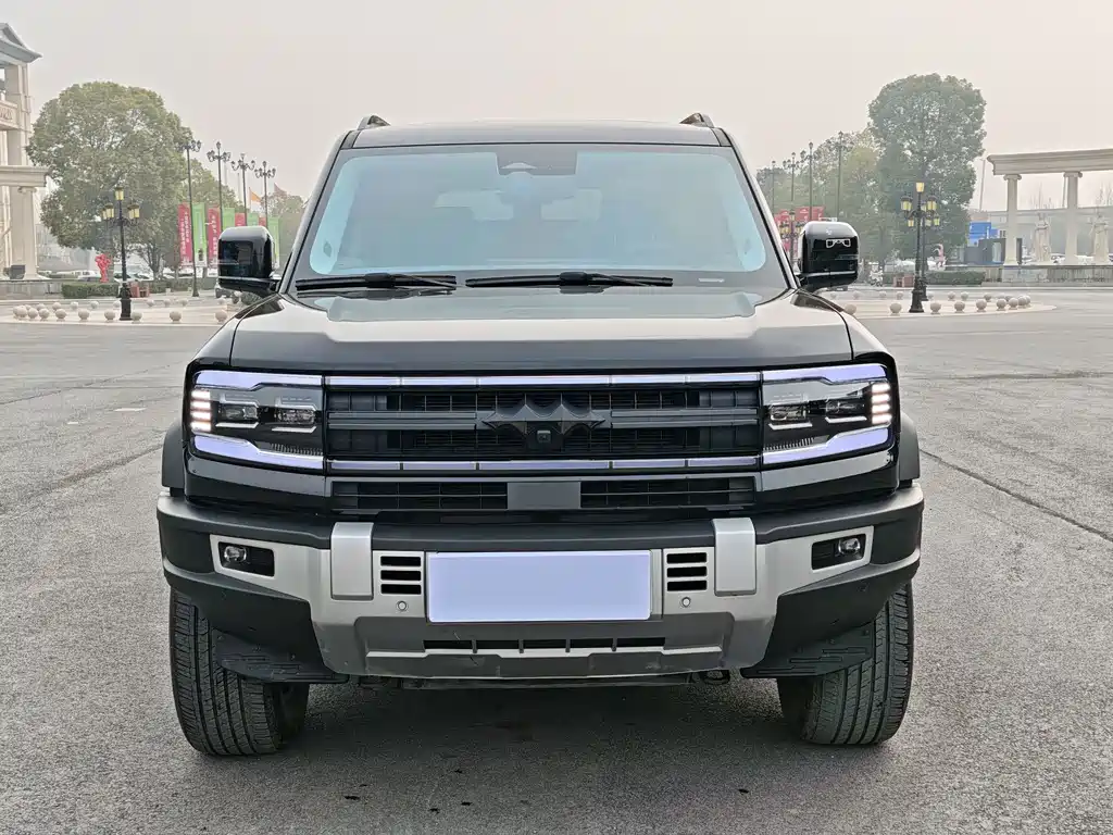 FANG CHENG BAO LEOPARD 5