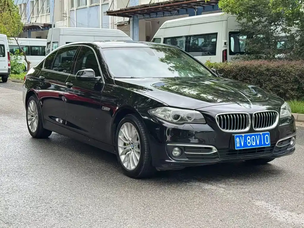 BMW 5 Series — миниатюра 15