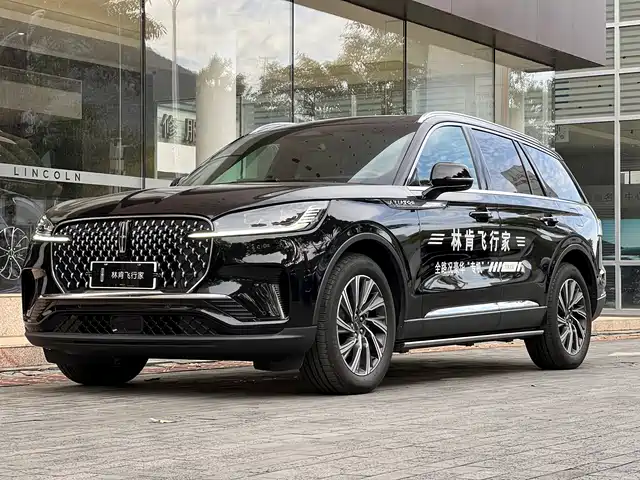 LINCOLN FLYING HOME 2025