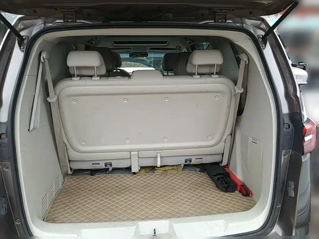 Buick GL8 — миниатюра 10