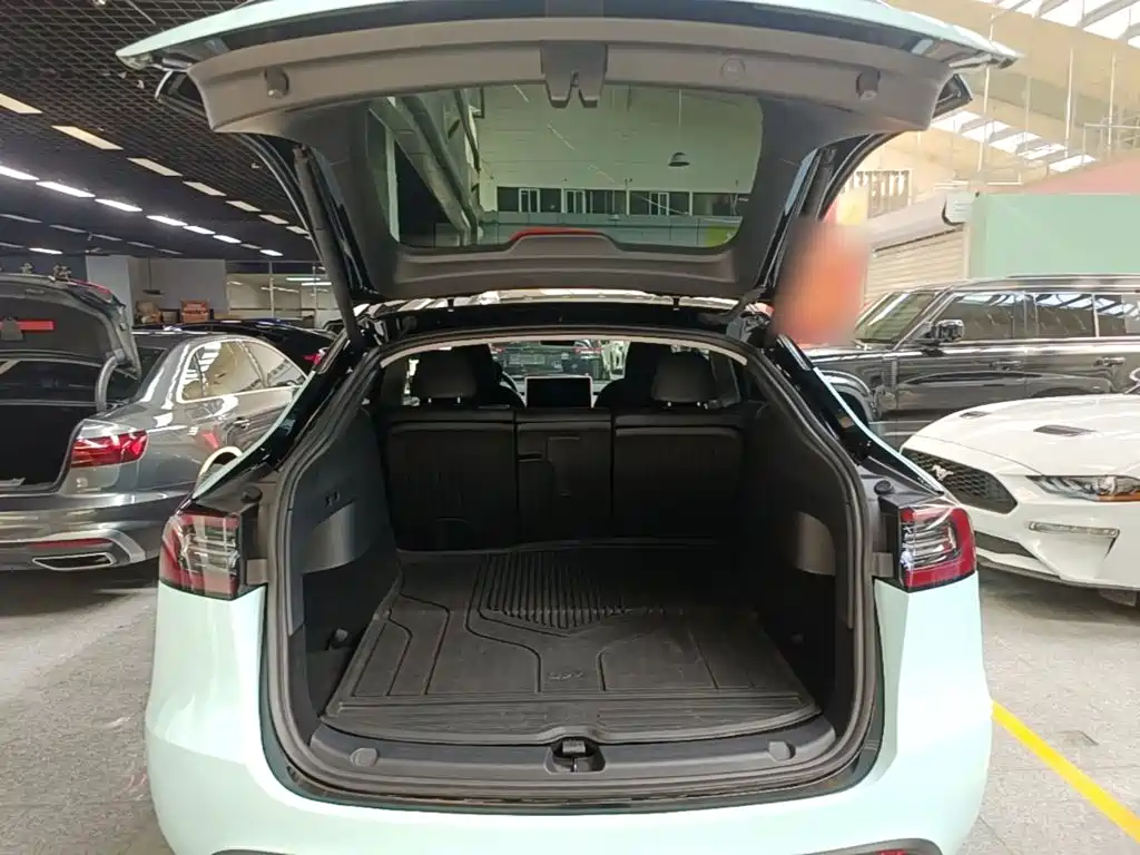 Tesla Model Y — миниатюра 19
