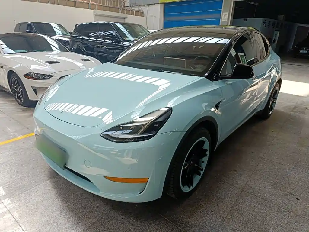 Tesla Model Y — миниатюра 2