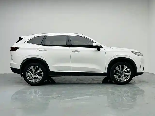 Haval H6 2021 1.5T AT Pro