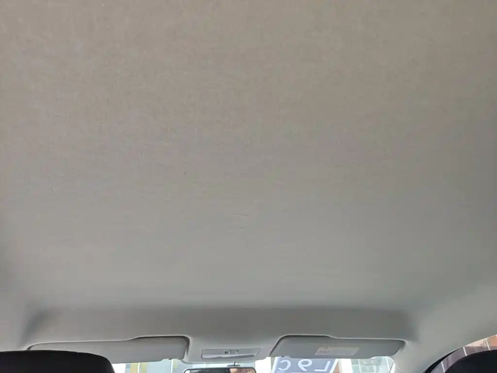Volkswagen Santana — миниатюра 18