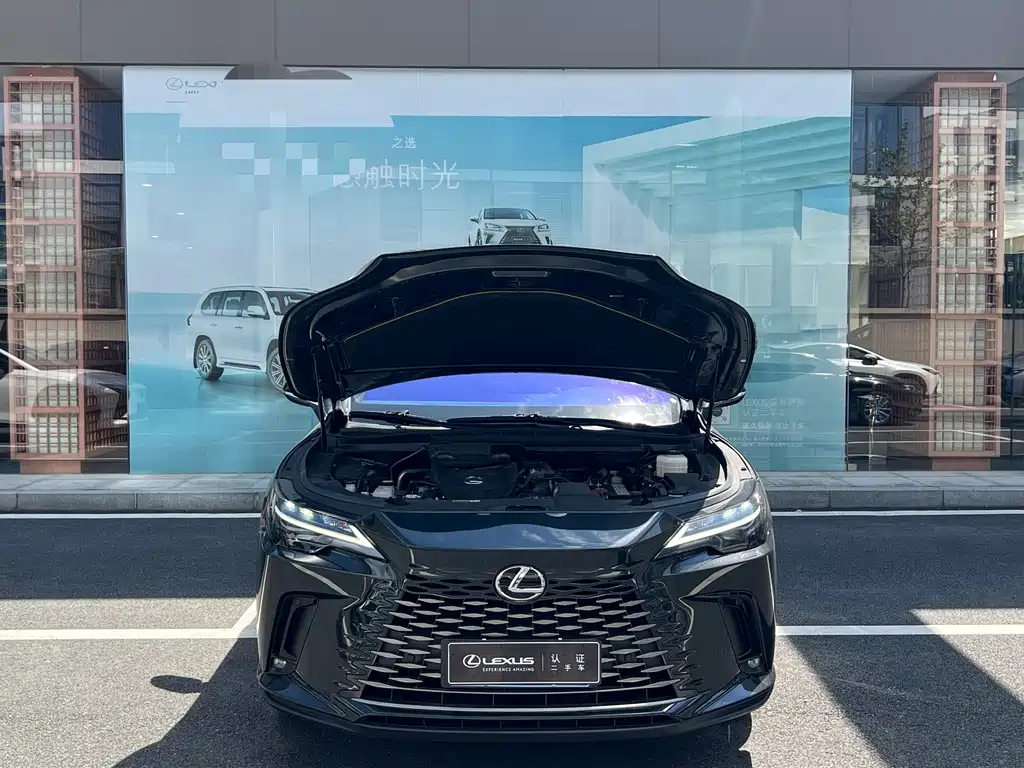 Lexus RX — миниатюра 5