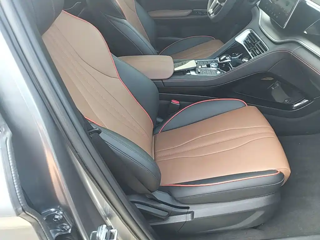 BYD PLUS — миниатюра 25
