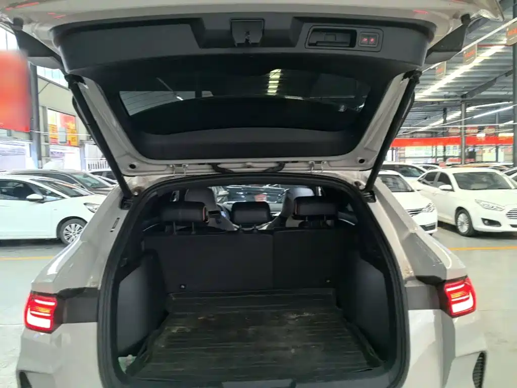 BYD PLUS New Energy — миниатюра 19