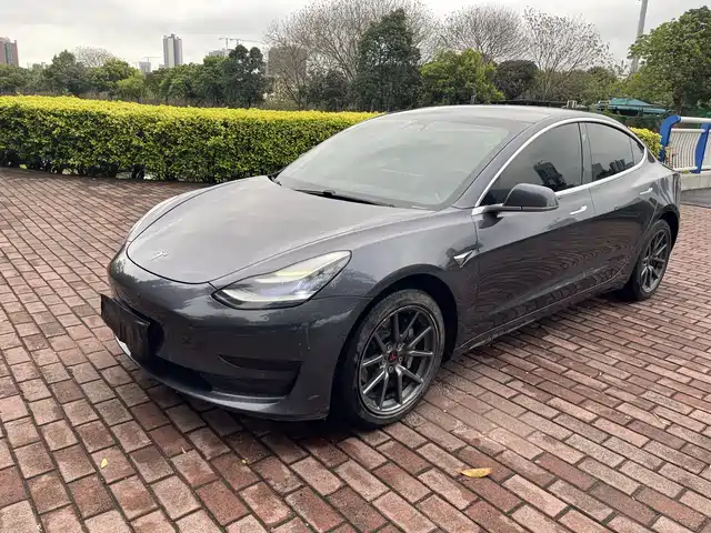 TESLA MODEL 3 2020
