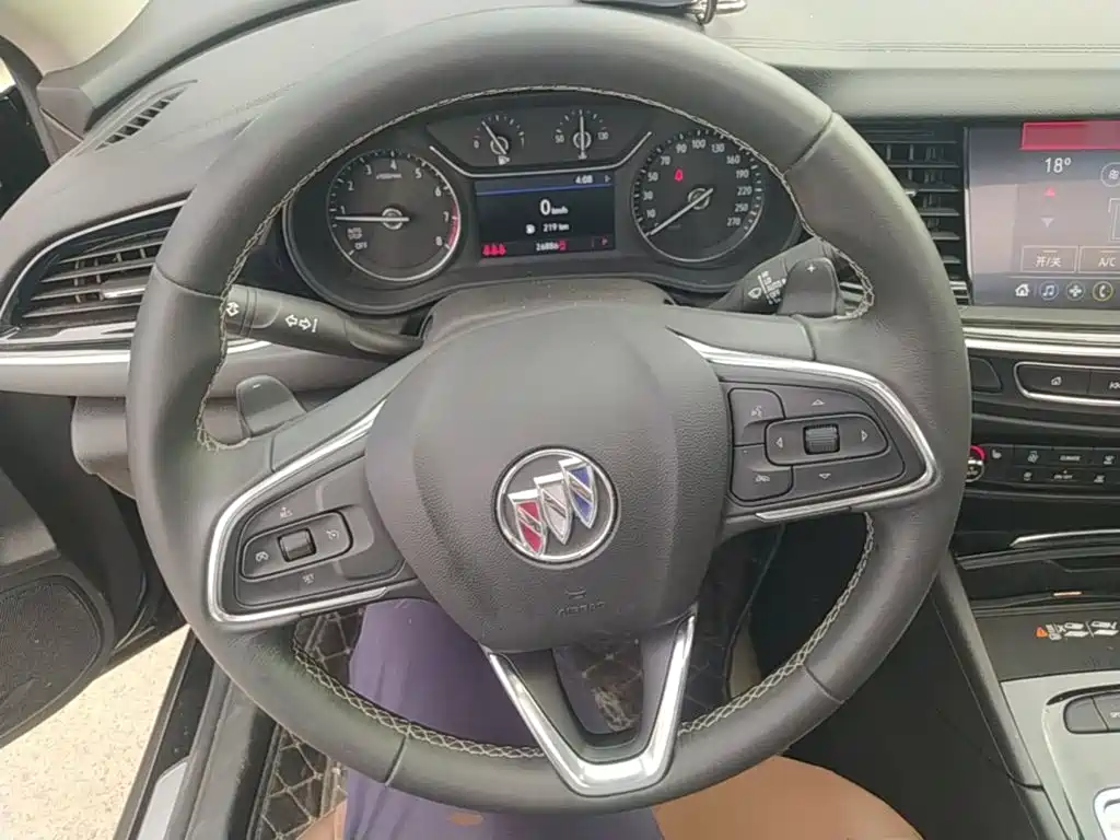 Buick Regal — миниатюра 11