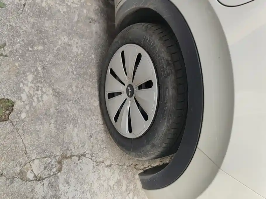 Wuling Binguo 2024 203km