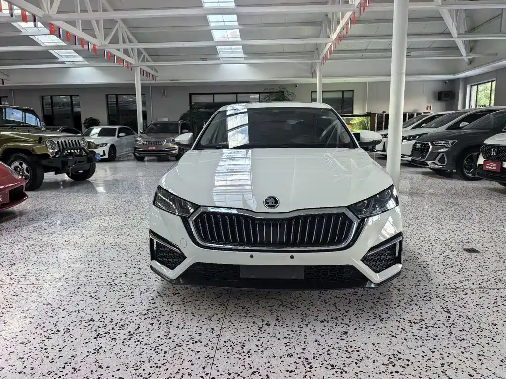 Skoda Octavia — миниатюра 2