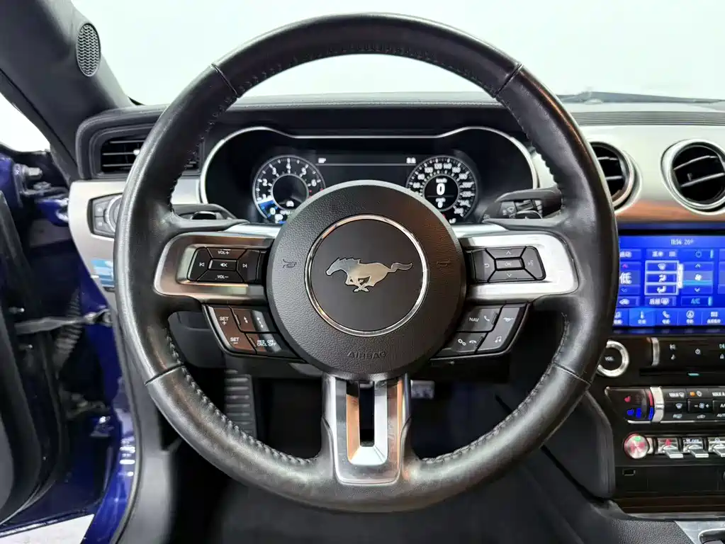 Ford Mustang — миниатюра 13