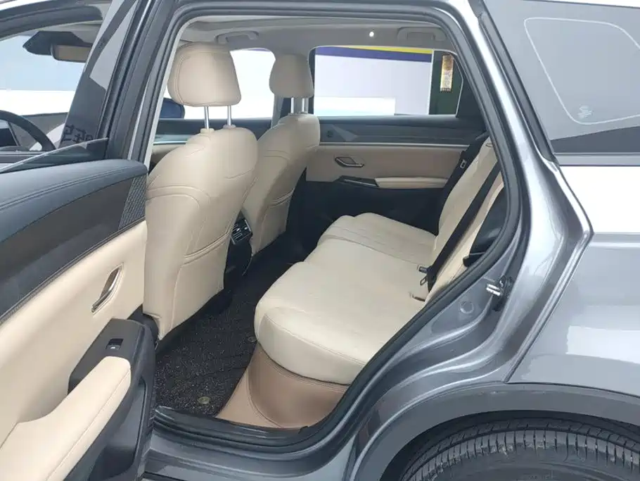 BYD Pro New Energy — миниатюра 11
