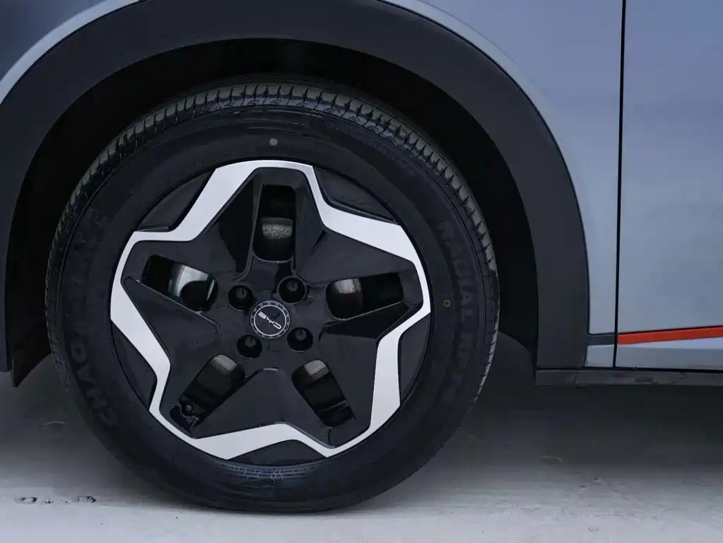 BYD Dolphin — миниатюра 10