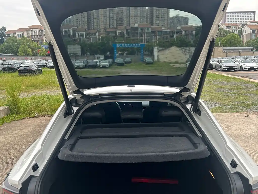 Volkswagen Lamando — миниатюра 10
