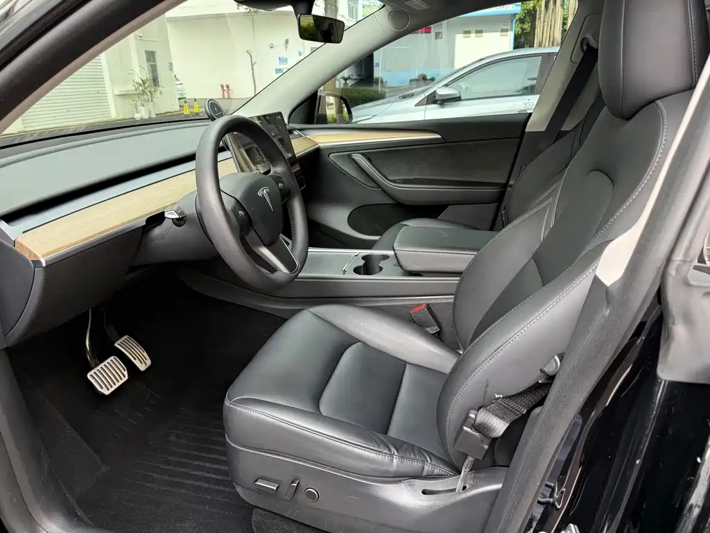 Tesla Model Y — миниатюра 4
