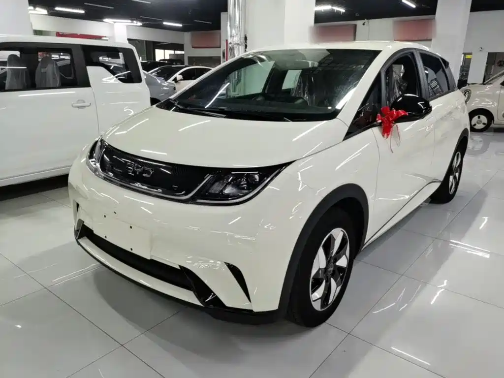 BYD Dolphin