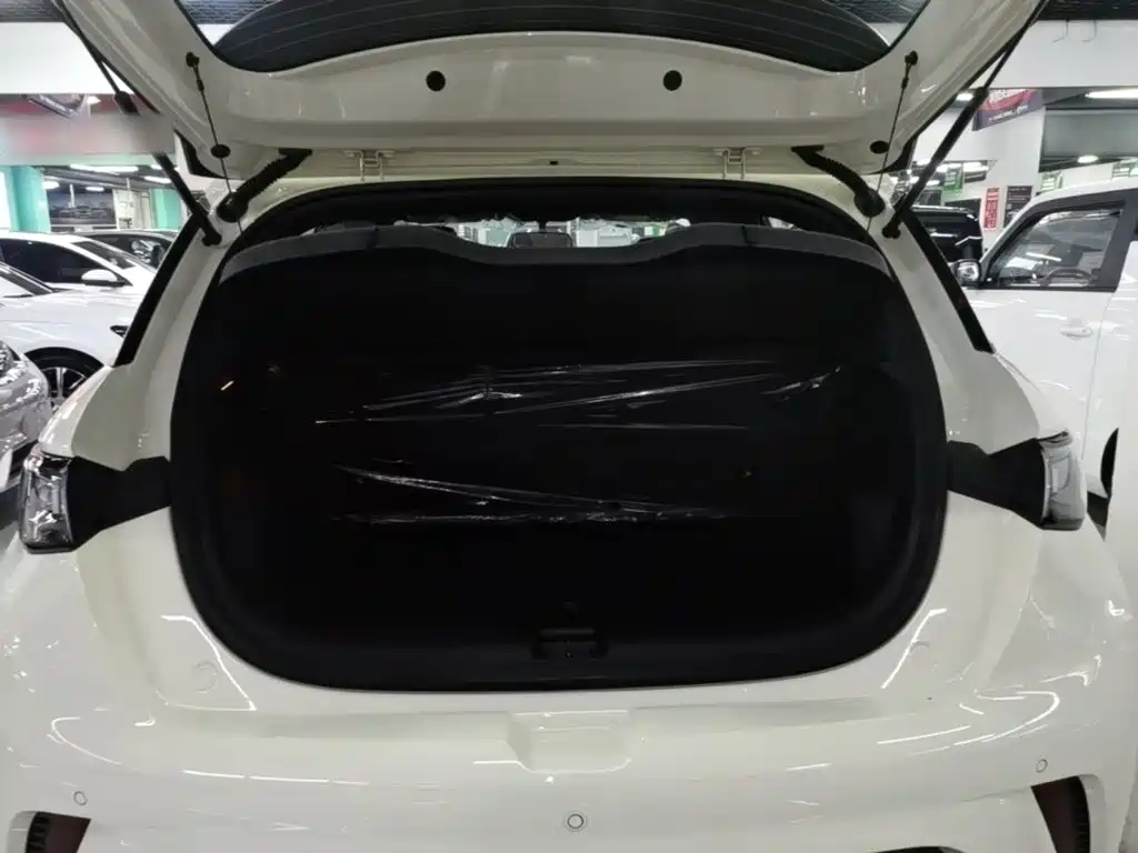 BYD Dolphin — миниатюра 19