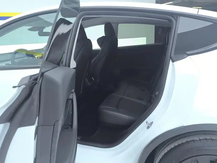 Tesla Model Y — миниатюра 11