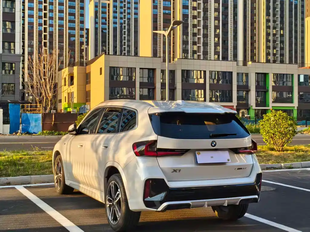 BMW X1 — миниатюра 9