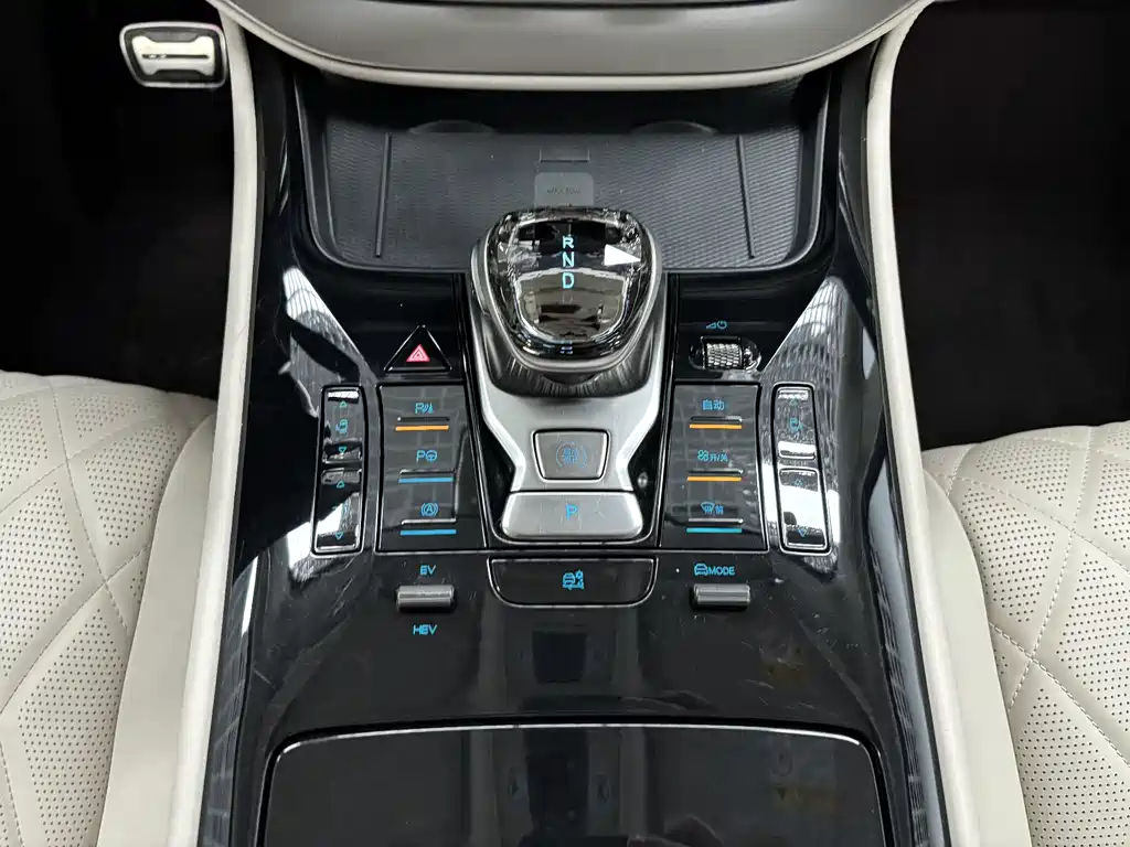 Denza Denza D9 — миниатюра 20