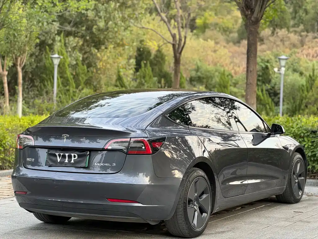 Tesla Model 3 — миниатюра 10
