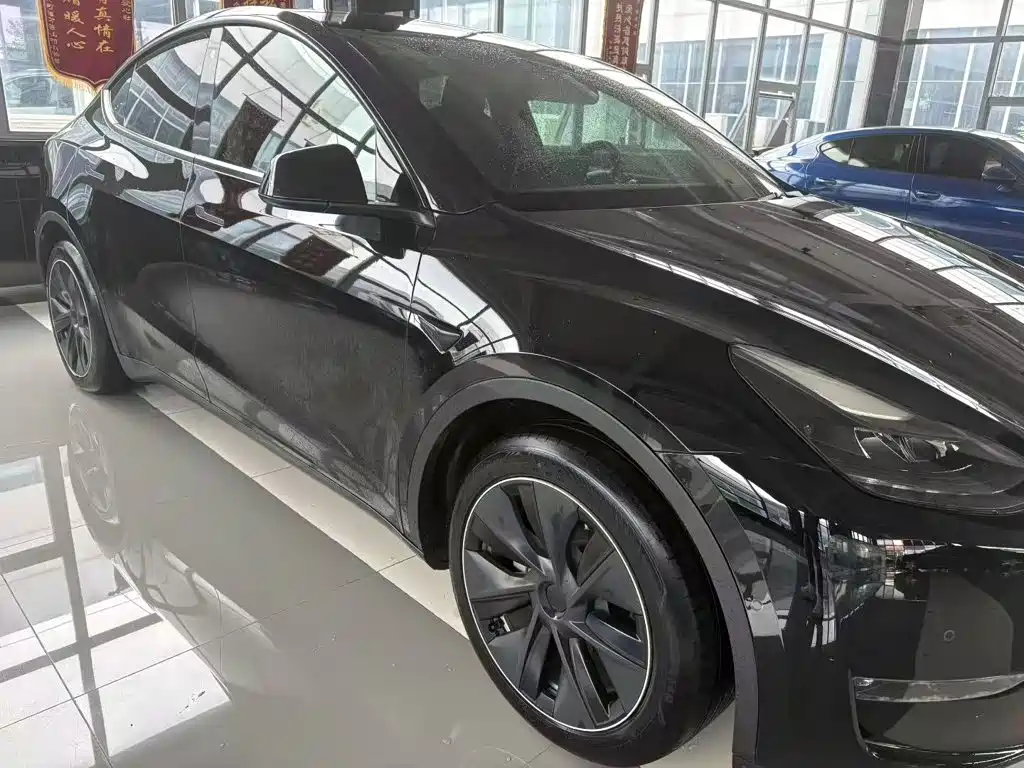 Tesla Model Y — миниатюра 3