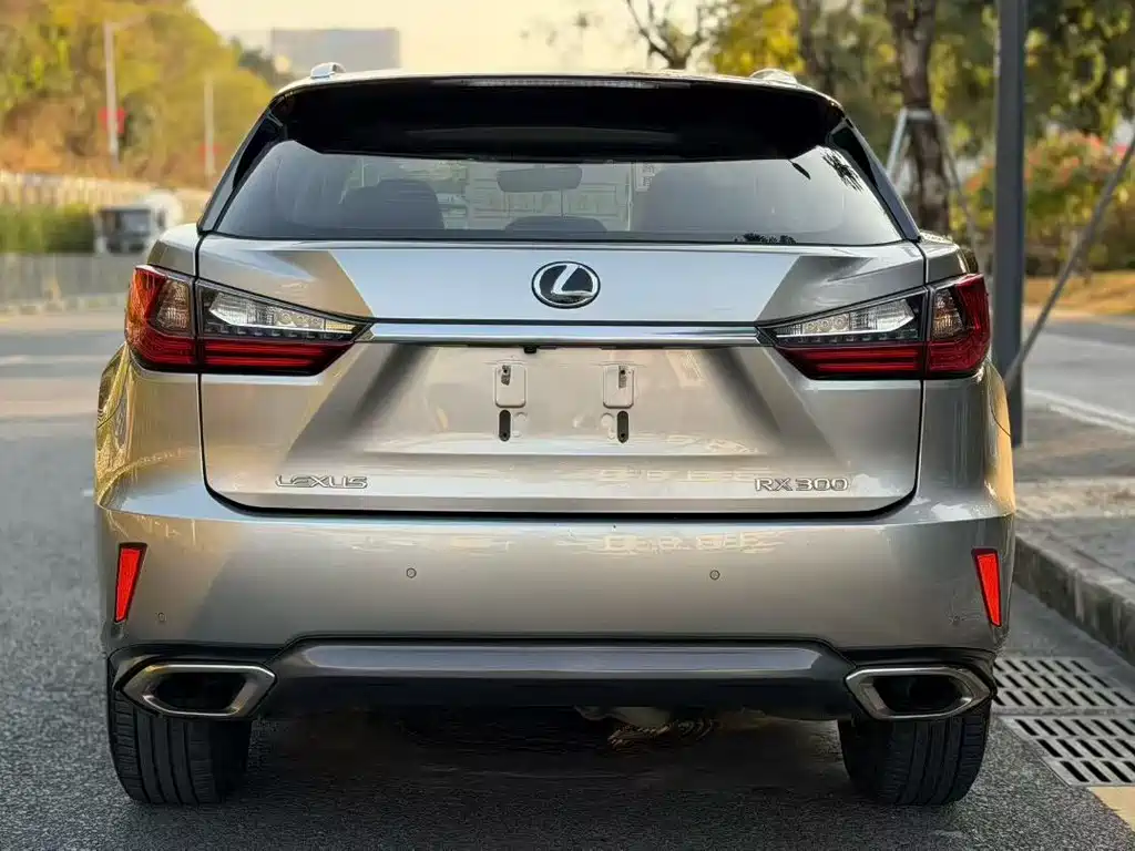 LEXUS RX
