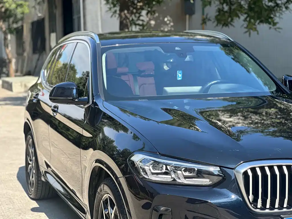 BMW X3 — миниатюра 7