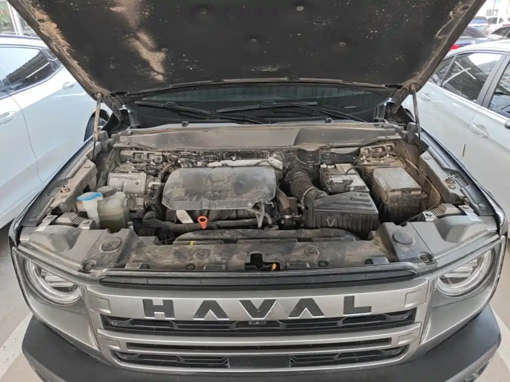 Haval Big Dog — миниатюра 20