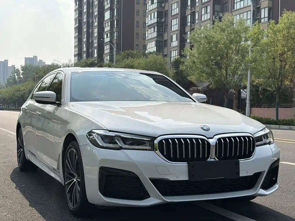 BMW 5 Series — миниатюра 17