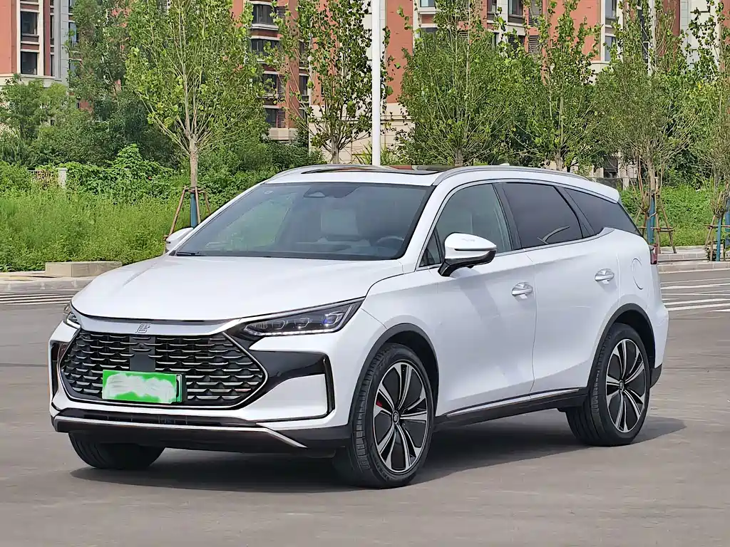 BYD Tang New Energy DM-p Champion Edition 215KM 4WD Premium Type, фото 3