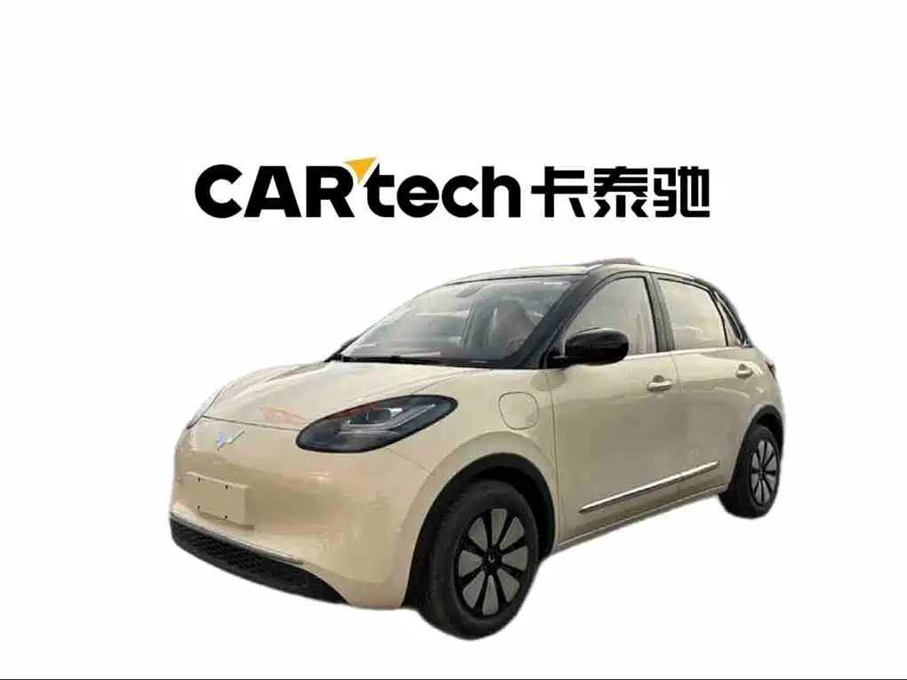 Wuling Binguo 2025 333km Enjoy