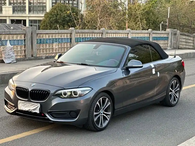 BMW 2 Series (Import)