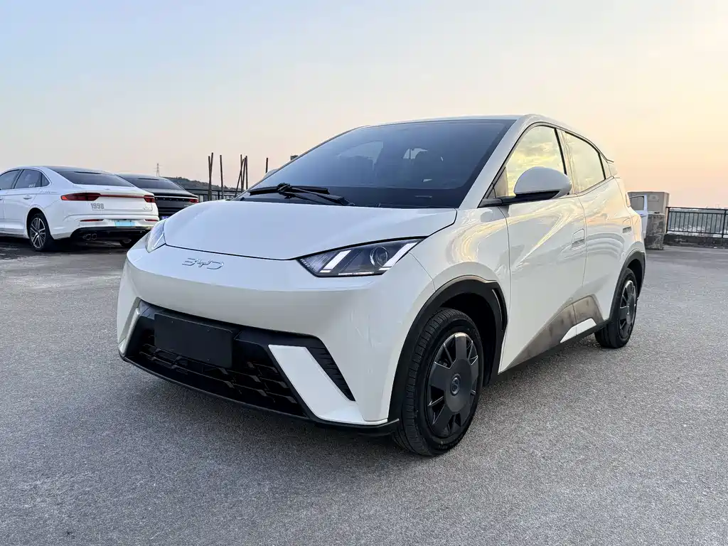 BYD Seagull